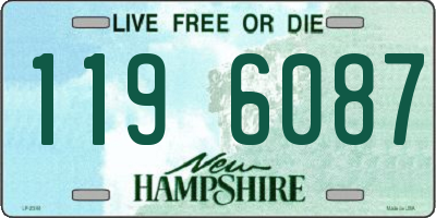NH license plate 1196087