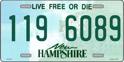 NH license plate 1196089