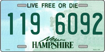 NH license plate 1196092