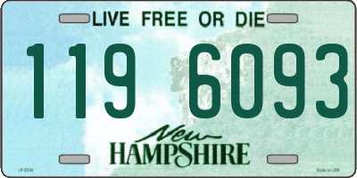 NH license plate 1196093
