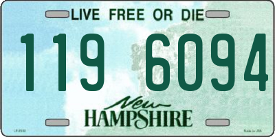 NH license plate 1196094