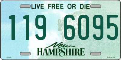 NH license plate 1196095