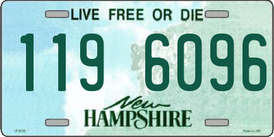NH license plate 1196096