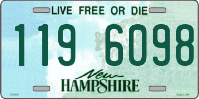 NH license plate 1196098