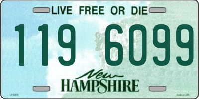 NH license plate 1196099