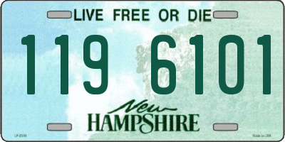 NH license plate 1196101