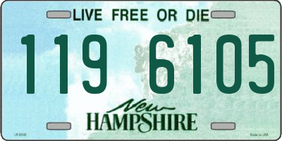 NH license plate 1196105