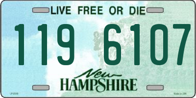 NH license plate 1196107