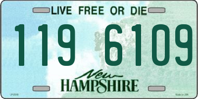 NH license plate 1196109
