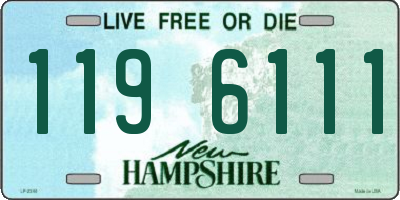NH license plate 1196111