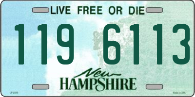 NH license plate 1196113