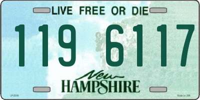 NH license plate 1196117