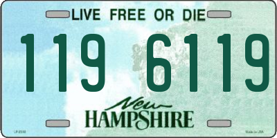 NH license plate 1196119