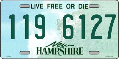 NH license plate 1196127