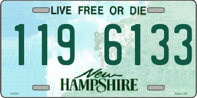 NH license plate 1196133