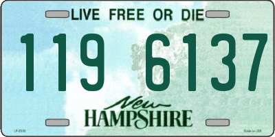 NH license plate 1196137