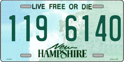 NH license plate 1196140