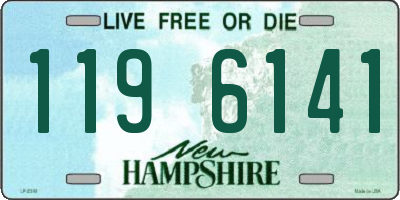NH license plate 1196141