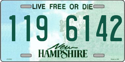 NH license plate 1196142
