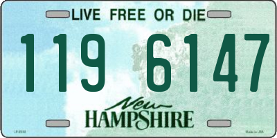 NH license plate 1196147