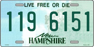 NH license plate 1196151