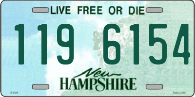 NH license plate 1196154