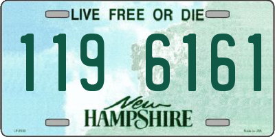 NH license plate 1196161