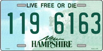 NH license plate 1196163