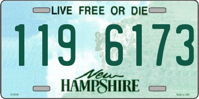 NH license plate 1196173