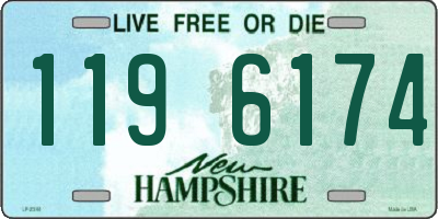NH license plate 1196174