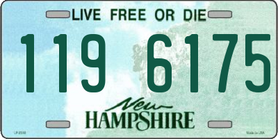 NH license plate 1196175