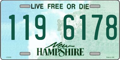 NH license plate 1196178