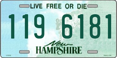 NH license plate 1196181
