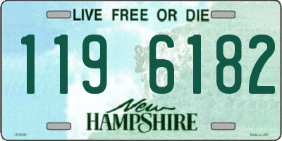 NH license plate 1196182