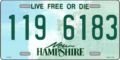 NH license plate 1196183