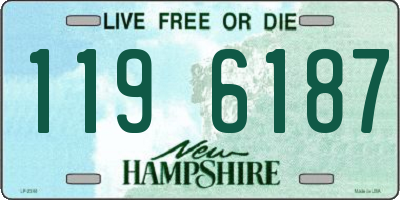 NH license plate 1196187