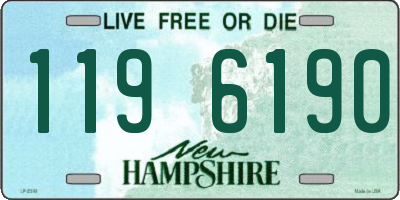 NH license plate 1196190