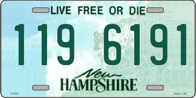 NH license plate 1196191