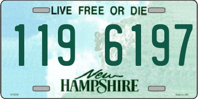 NH license plate 1196197