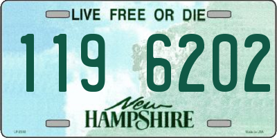 NH license plate 1196202