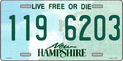NH license plate 1196203