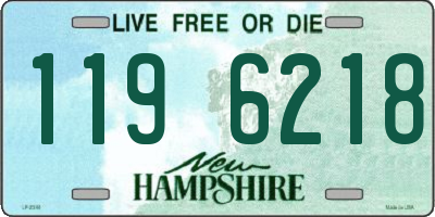 NH license plate 1196218