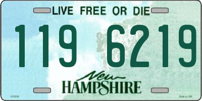 NH license plate 1196219