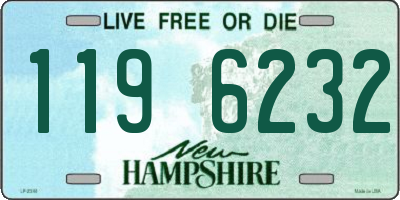 NH license plate 1196232