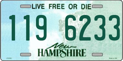NH license plate 1196233