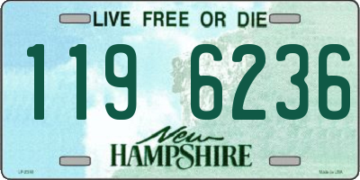 NH license plate 1196236
