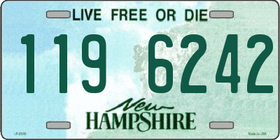 NH license plate 1196242