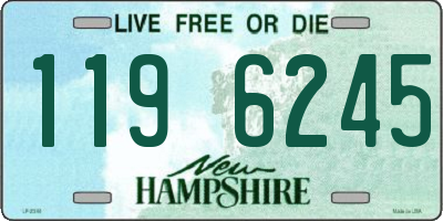 NH license plate 1196245