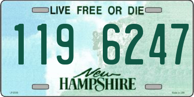 NH license plate 1196247