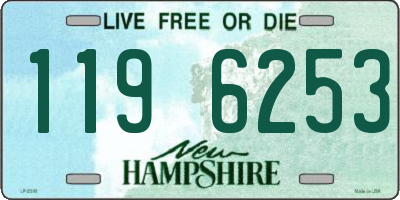 NH license plate 1196253